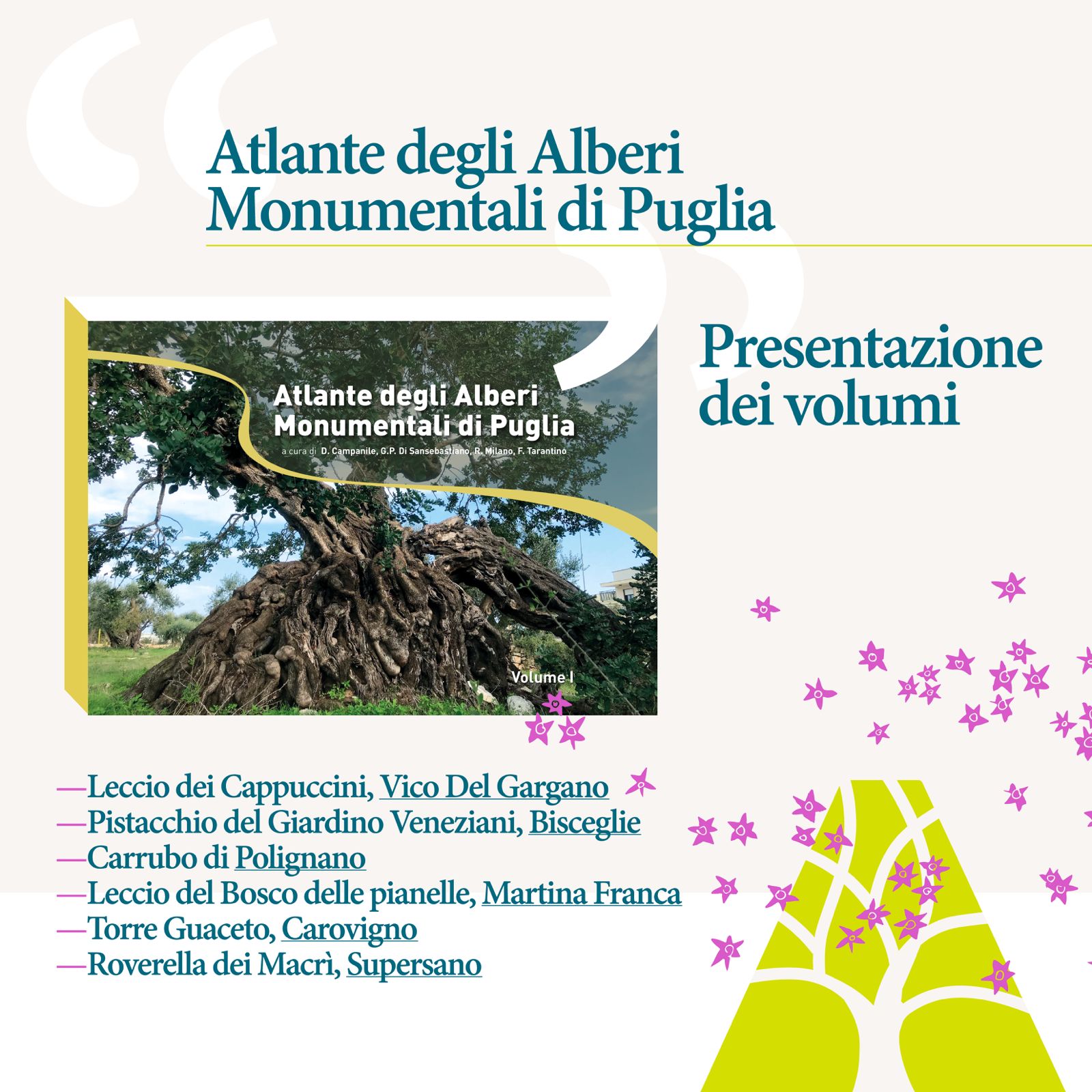 Galleria “Alberi tra natura a cultura umana”: 24 novembre, Giornata Nazionale dell’Albero - Diapositiva 1 di 2